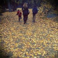 autumn at the zoo