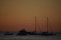 sailboats