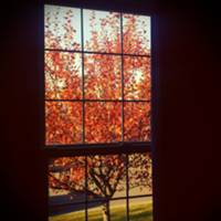 watching it fade